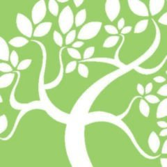 Ohm Yoga & Wellness